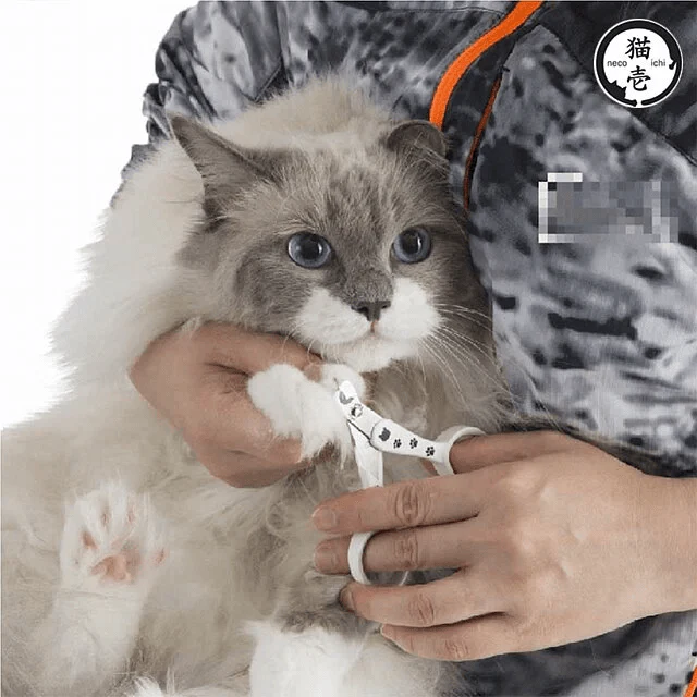 Japan Necoichi Best Selling Stress Free Cat Nail Clippers - Image 7