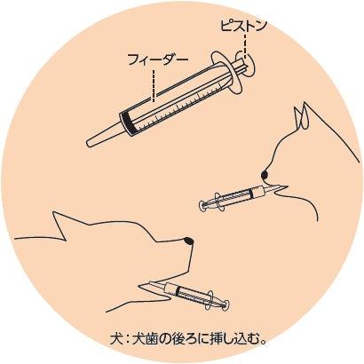 Nyanta Club Pet Liquid Feeding Syringe - Image 3